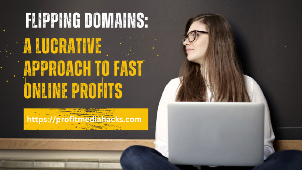 Flipping Domains: A Lucrative Approach to Fast Online Profits