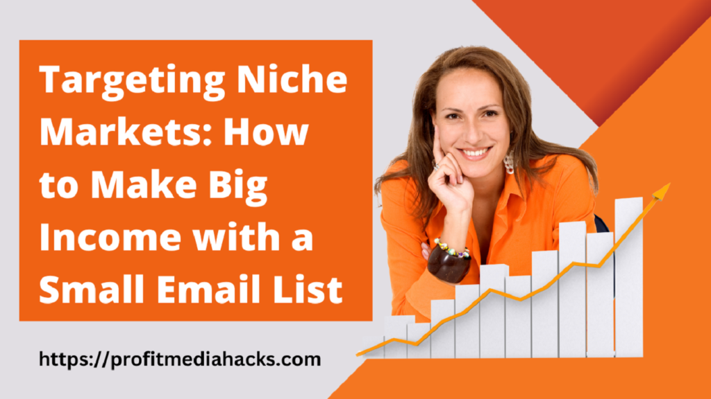 Targeting Niche Markets: How to Make Big Income with a Small Email List